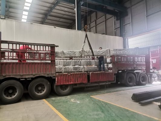 Valvola inserita sotto la superficie di Rod Pump Double del pollone per produzione di petrolio