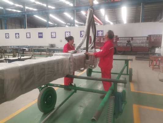 Produzione di Rod Pumps For Oil Well del pollone del barilotto di acciaio al carbonio