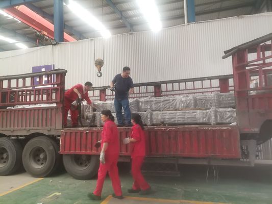 Tuffatore sottile di Rod Pumps With Spray Metal del pollone del RW della parete