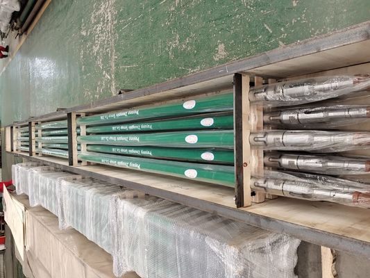 API 11AX Pompa succatrice personalizzabile con pistone a sigillo morbido per il settore petrolifero