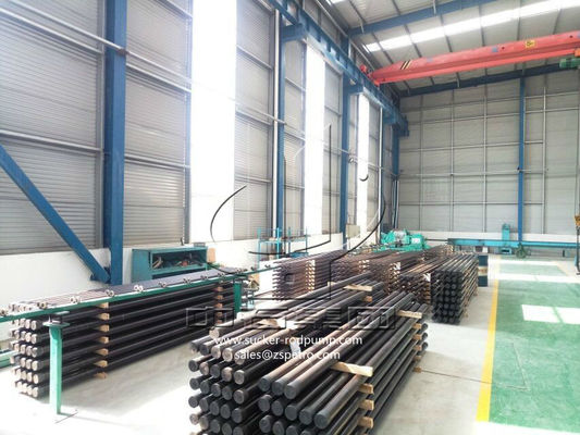 Pollone su misura Rod Pump Barrel delle parti della pompa del giacimento di petrolio di alta precisione di servizio