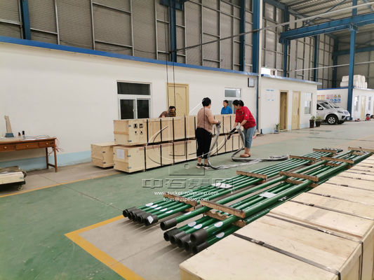 Tipo tubatura del tuffatore api 11AX THM del giacimento di petrolio 26ft della pompa buona