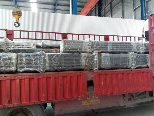 Tipo fisso pollone Rod Pump di API Tubing Pump Series Downhole