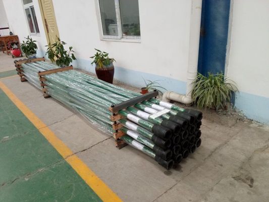 Mantenga e pollone inferiore Rod Pump Spray Metal Plunger