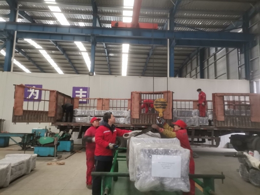 Doppio modello di viaggio Downhole Pumps della valvola RHBC