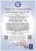 Porcellana Puyang Zhongshi Group Co., Ltd. Certificazioni