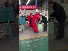 Pollone Rod Pumps del giacimento di petrolio/martello Rod Pumps del tuffatore metallo dello spruzzo