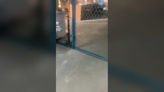 stantuffo di ricambio della pompa con asta a ventosa