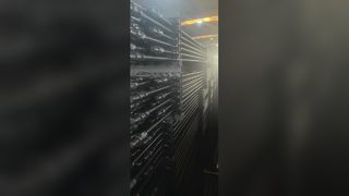 Aste a ventosa di grado D